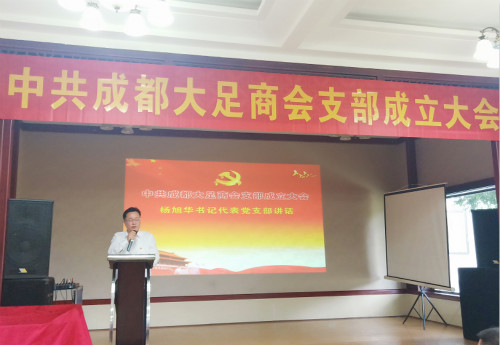 1.8新任党支部书记杨旭华讲话_meitu_10.jpg